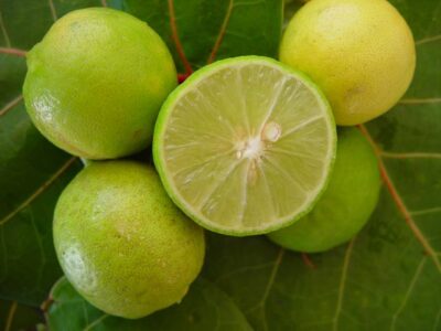 Citron vert (Boîte)