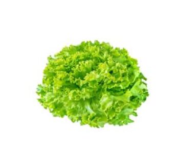 Salade (bouquet)