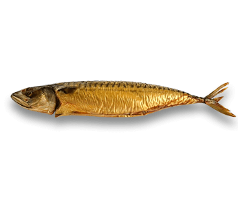 Poisson maquereau fumé