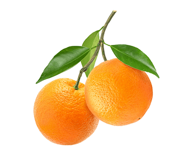 Orange (Tas de 2)