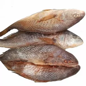Poisson sosso (americain) kg
