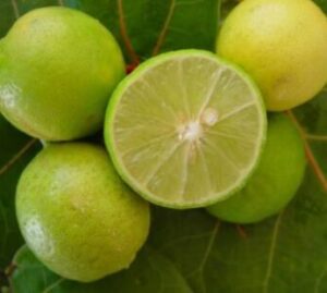 Citron vert (le tas)