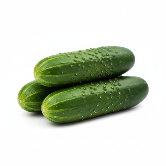 Gemini_Generated_Image_fotwyufotwyufotw Gemini_Generated_Image_fotwyufotwyufotw