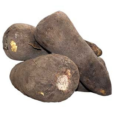 IMG_CAT_ME1TQA IMG_CAT_ME1TQA