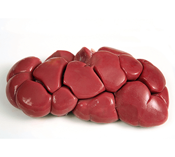 Rognon-de-boeuf-1 Rognon-de-boeuf-1