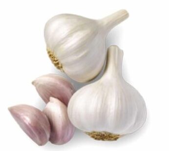 admin-ajax-1-346x310-1 admin-ajax-1-346x310-1