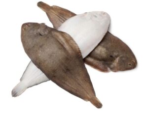 Poisson sole (grand) kg