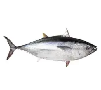 thonblanc-346x310 thonblanc-346x310