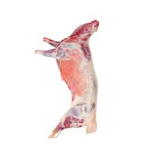 Mouton entier frais nettoyé